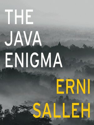 cover image of The Java Enigma